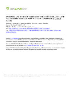 EXTRINSIC AND INTRINSIC SOURCES OF VARIATION IN PLASMA LIPID CALIDRIS MAURI