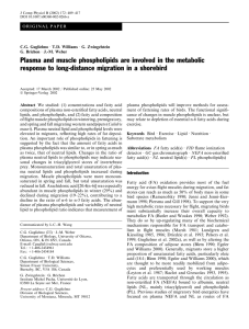 Plasma and muscle phospholipids are involved in the metabolic