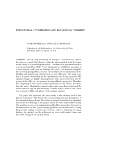 STRUCTURAL OPTIMIZATION AND BIOLOGICAL \DESIGNS&#34; Abstract.