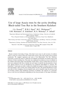 Use of large Acacia trees by the cavity dwelling J.A. Eccard