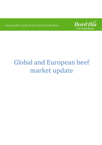 Global and European beef market update  1