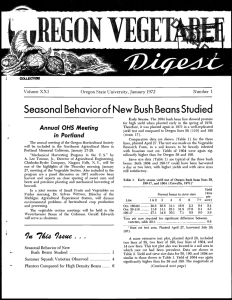 Seasonal Behaviorof New Bush Beans Studied