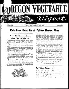 Pole BeaN Lines Resist Yellow Mosaic Virus Oregon State UniversitJu1y 1971