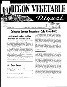 tth$ti$1VtiitAI1'l 'p Cabbage Looper Important Cole Cr