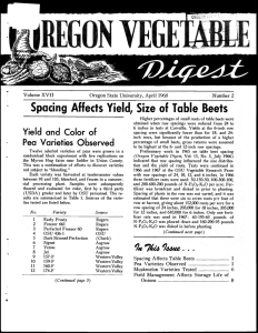 Spacing Affects Yield, Size of Table Beets Yield and Color of