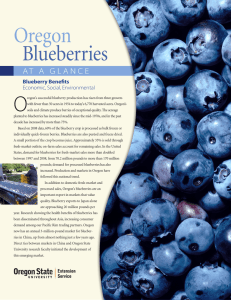 Oregon  Blueberries O