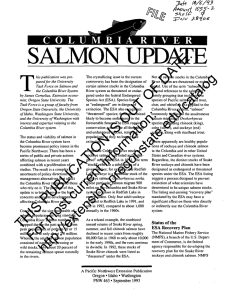 SALMON UPDATE COLUMBIA   RIVER