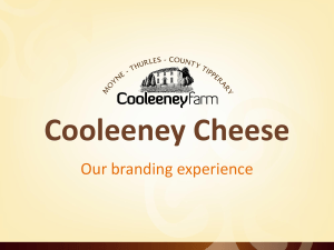 Cooleeney Cheese Our branding experience