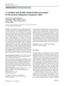 A candidate male-fertility female-fertility gene tagged ORIGINAL PAPER