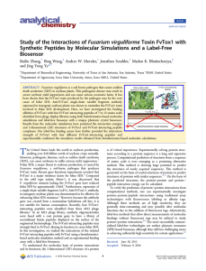 Study of the Interactions of Fusarium virguliforme Toxin FvTox1 with