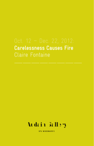 Oct. 12 – Dec. 22, 2012: Claire Fontaine Carelessness Causes Fire