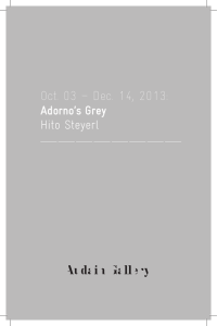Oct. 03 – Dec. 14, 2013: Hito Steyerl Adorno’s Grey