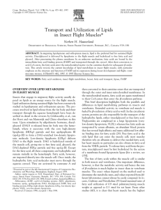 Transport and Utilization of Lipids in Insect Flight Muscles* Norbert H. Haunerland