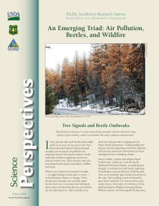 An Emerging Triad: Air Pollution, Beetles, and Wildfire Pacific Southwest Research Station