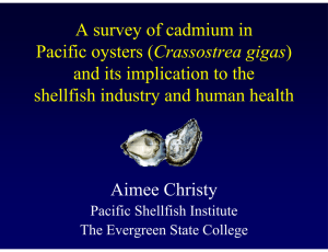 A survey of cadmium in Crassostrea gigas and its implication to the