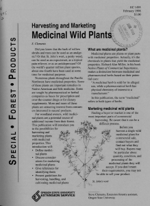 Medicinal Wild Plant