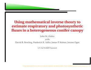 Using mathematical inverse theory to estimate respiratory and photosynthetic