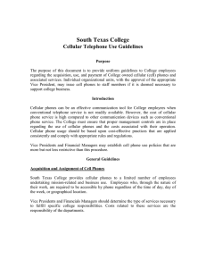 South Texas College Cellular Telephone Use Guidelines