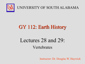 Lectures 28 and 29: GY 112: Earth History Vertebrates UNIVERSITY OF SOUTH ALABAMA