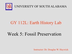 Week 5: Fossil Preservation GY 112L: Earth History Lab
