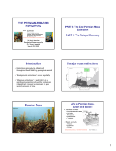 THE PERMIAN - TRIASSIC EXTINCTION