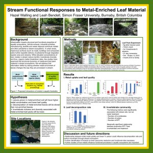 Stream Functional Responses to Metal-Enriched Leaf Material