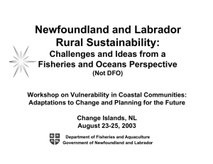 Newfoundland and Labrador Rural Sustainability: Challenges and Ideas from a