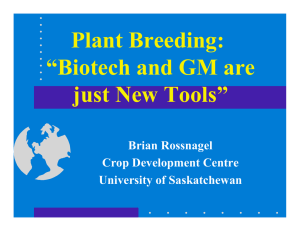 Plant Breeding: “Biotech and GM are just New Tools”