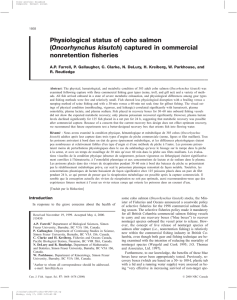 Physiological status of coho salmon Oncorhynchus kisutch nonretention fisheries