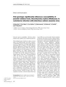 Short communication Fish genotype significantly influences susceptibility of