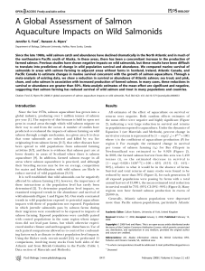 A Global Assessment of Salmon Aquaculture Impacts on Wild Salmonids