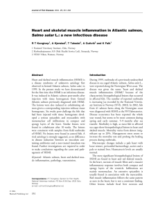 Heart and skeletal muscle inflammation in Atlantic salmon, R T Kongtorp