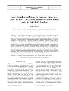 Infectious haematopoietic necrosis epidemic (2001 to 2003) in farmed Atlantic salmon Salmo salar