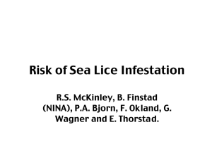 Risk of Sea Lice Infestation R.S. McKinley, B. Finstad
