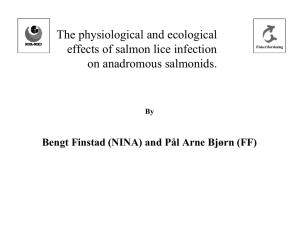 The physiological and ecological effects of salmon lice infection on anadromous salmonids.