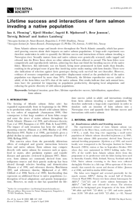 Lifetime success and interactions of farm salmon invading a native population