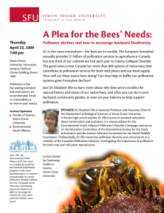 A Plea for the Bees’ Needs: Thursday April 23, 2009