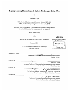 Reprogramming Human  Somatic  Cells  to  Pluripotency ... Matthew  Angel by