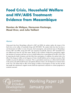 Food Crisis, Household Welfare and HIV/AIDS Treatment: Evidence from Mozambique