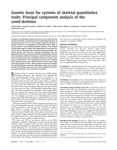 Genetic basis for systems of skeletal quantitative canid skeleton