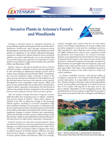 E    TENSION Invasive Plants in Arizona’s Forest’s and Woodlands