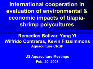 International cooperation in evaluation of environmental &amp; economic impacts of tilapia- shrimp polycultures