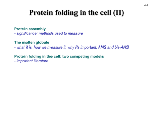 Protein folding in the cell (II)