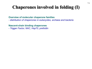 Chaperones involved in folding (I)