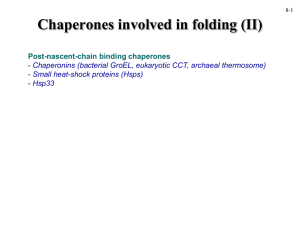 Chaperones involved in folding (II)