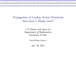 Propagation of Cardiac Action Potentials: How does it Really work?