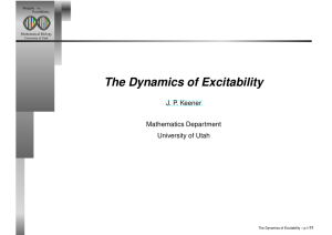 The Dynamics of Excitability J. P. Keener Mathematics Department University of Utah