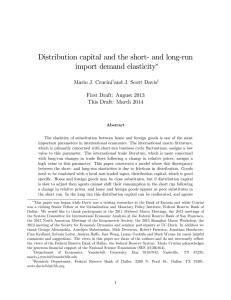 Distribution capital and the short- and long-run import demand elasticity