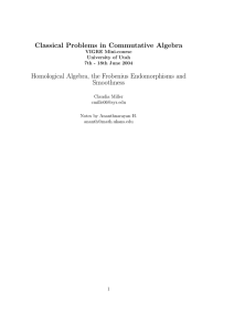 Classical Problems in Commutative Algebra Homological Algebra, the Frobenius Endomorphisms and Smoothness