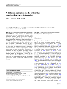 A diffusion-activation model of CaMKII translocation waves in dendrites Berton A. Earnshaw
